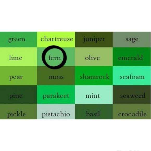 WILLIE NELSON Graphic Tee NWOT (small) - Picture 4 of 7